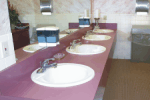 Eco-Cleaning Sevices