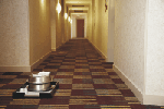 Eco-Cleaning Sevices