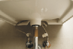 Eco-Cleaning Sevices